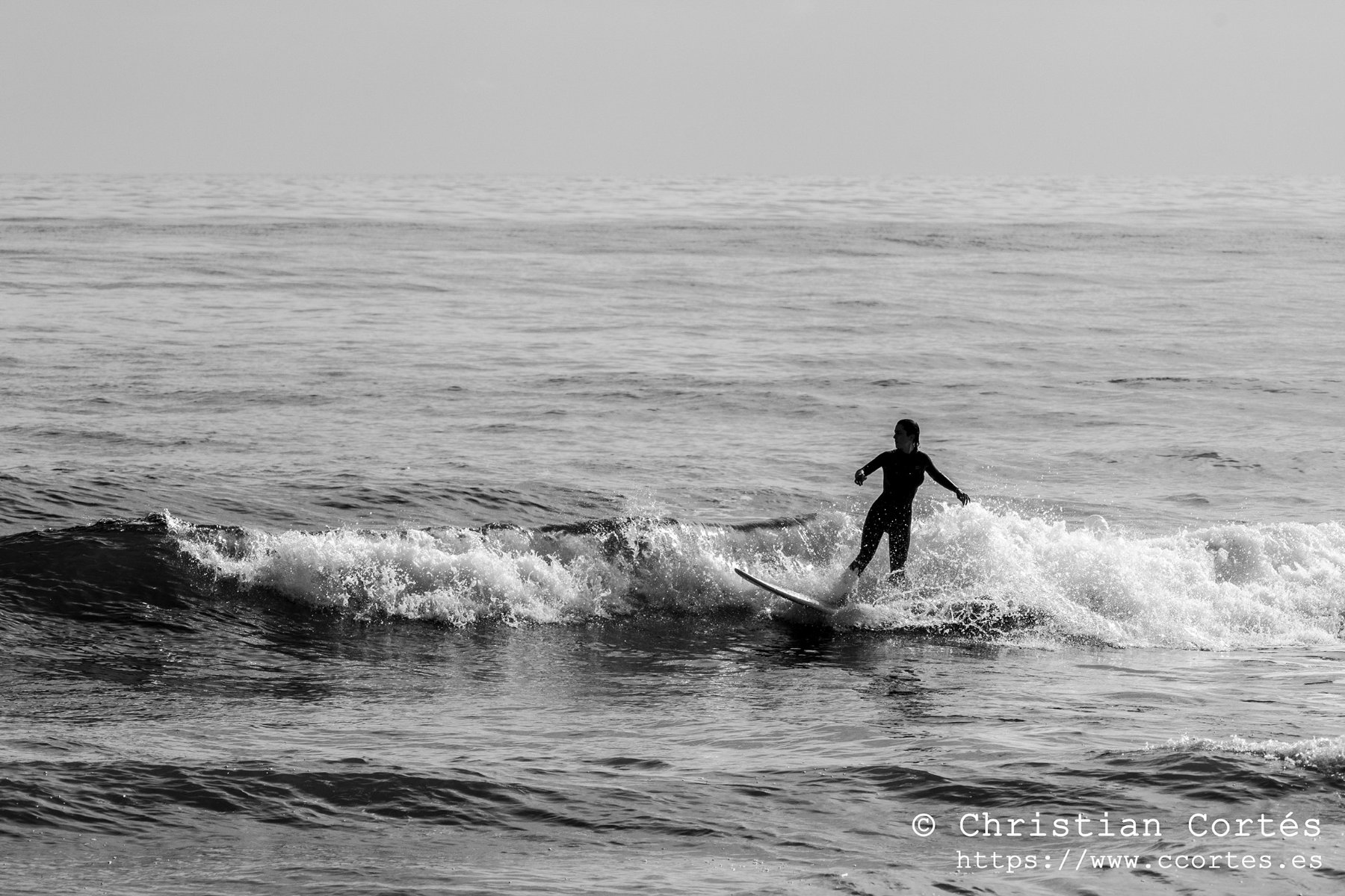 Pentacon Campello 02