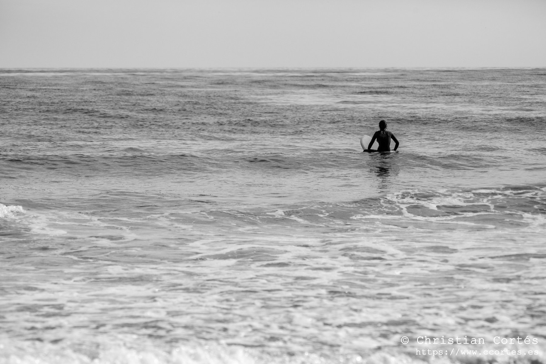 Pentacon Campello 08