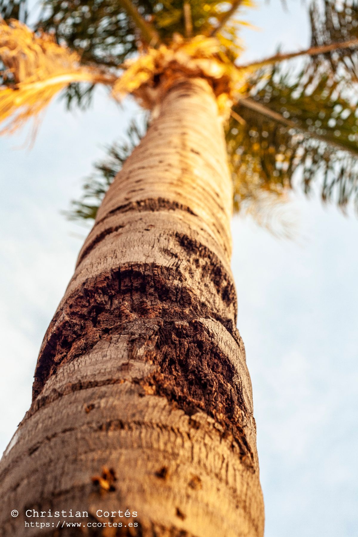 Pentacon 50mm CaboAlrededores 05