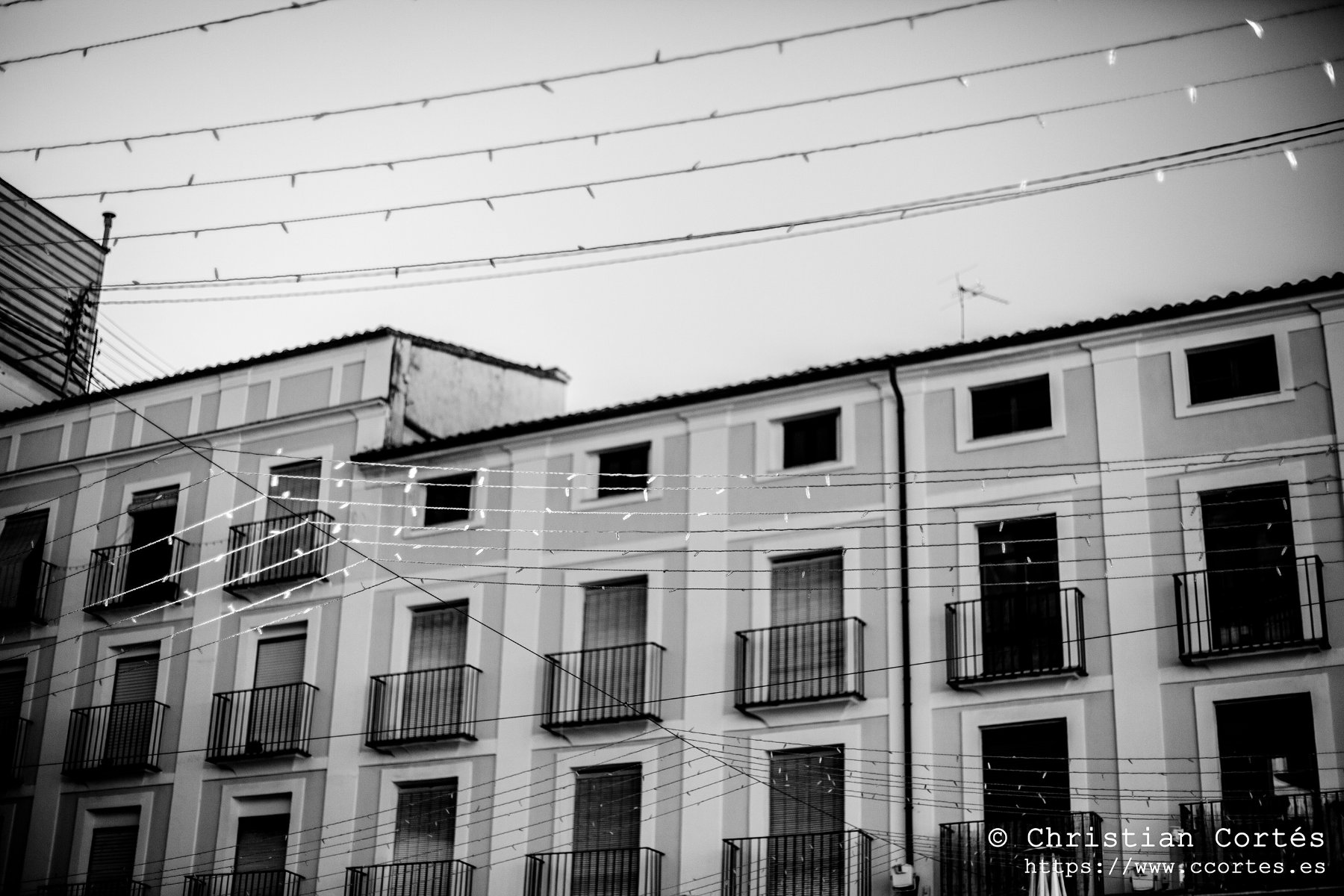 20241221 Yashinon 02